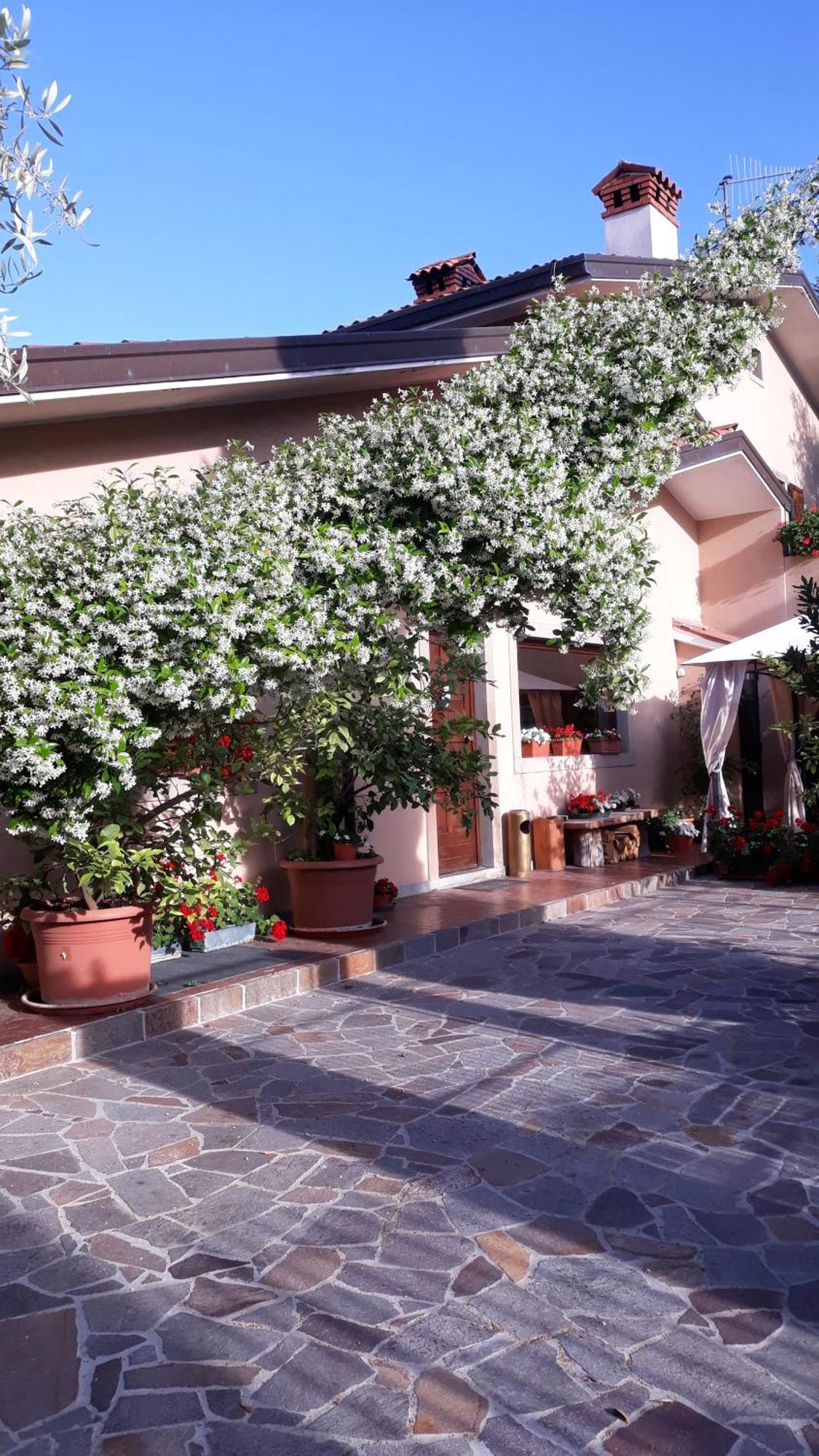 Villa Ambrosia Muggia Exterior photo